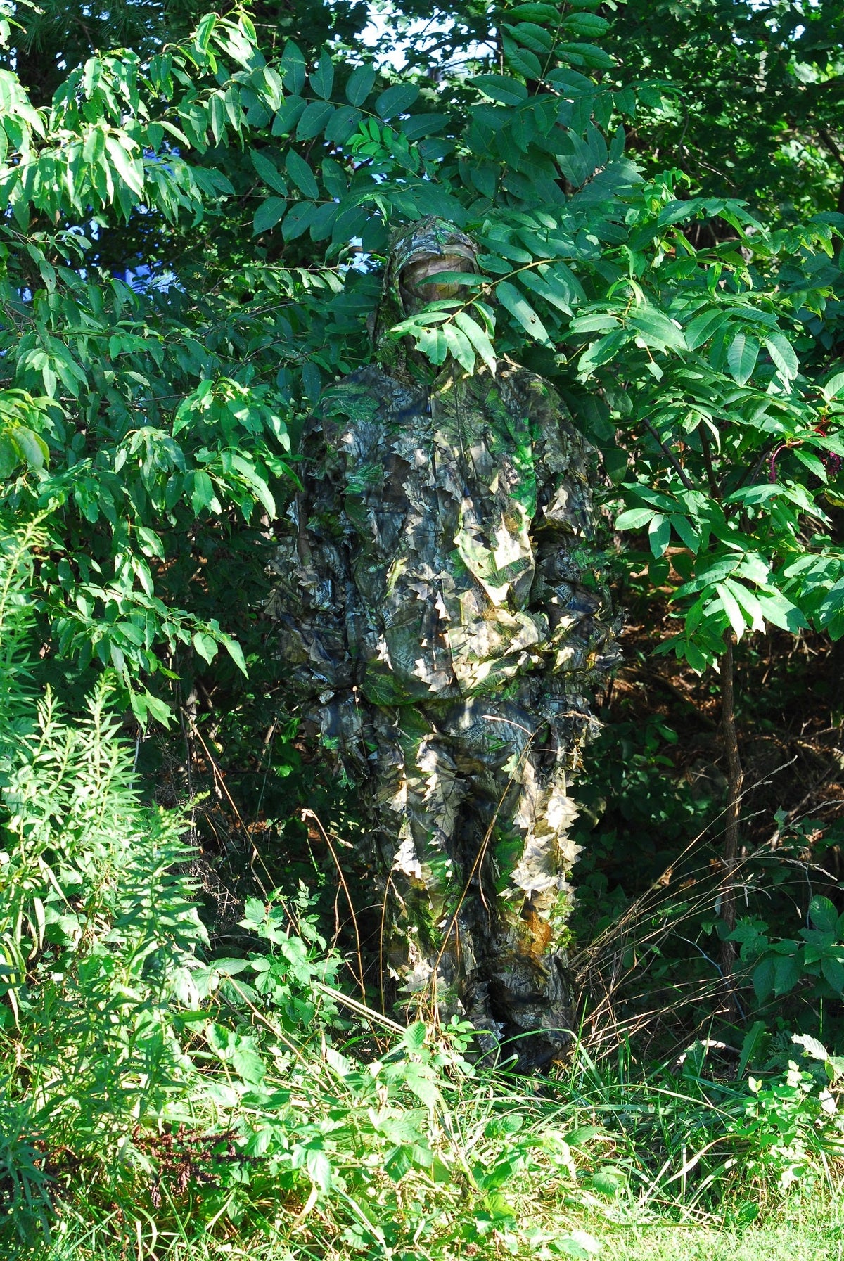 Leafy Wear