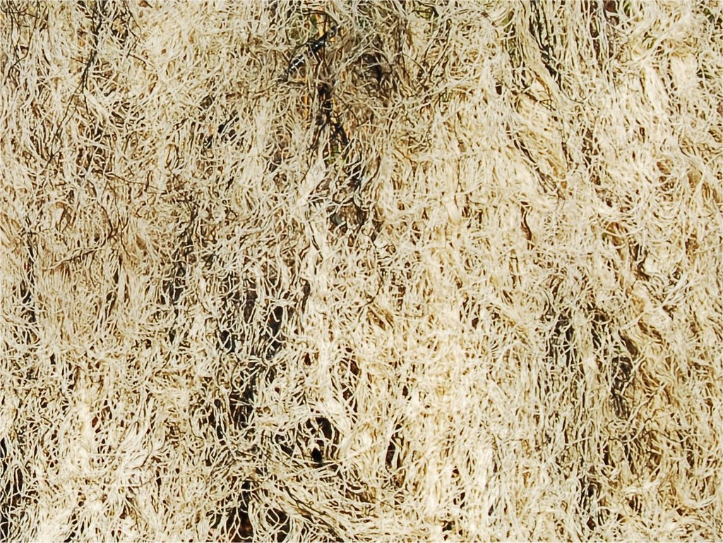 Ultra Light Ghillie Blanket 5 x 9 feet in Desert