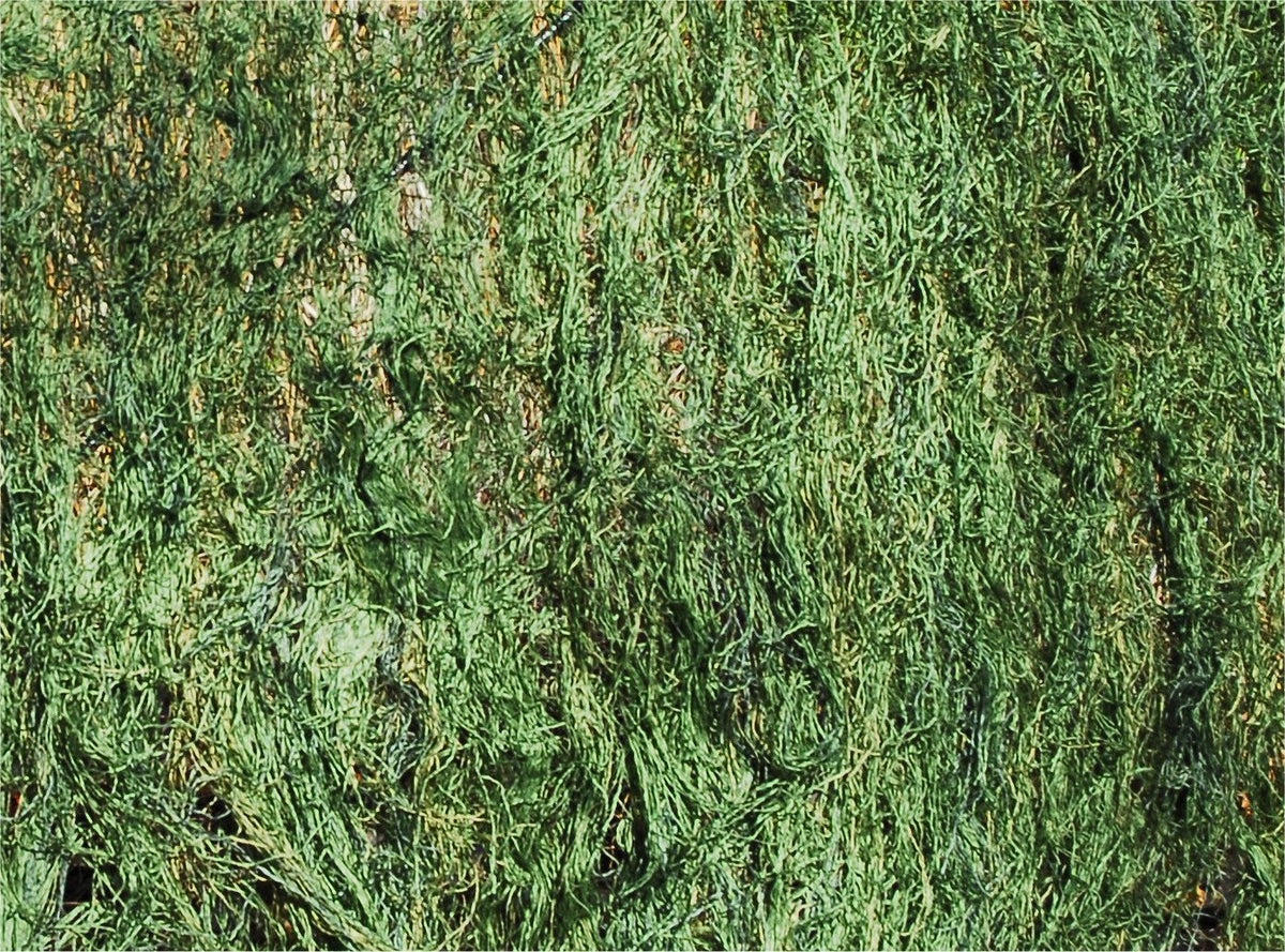 Ultra Light Ghillie Blanket 5 x 9 feet in Leafy Green