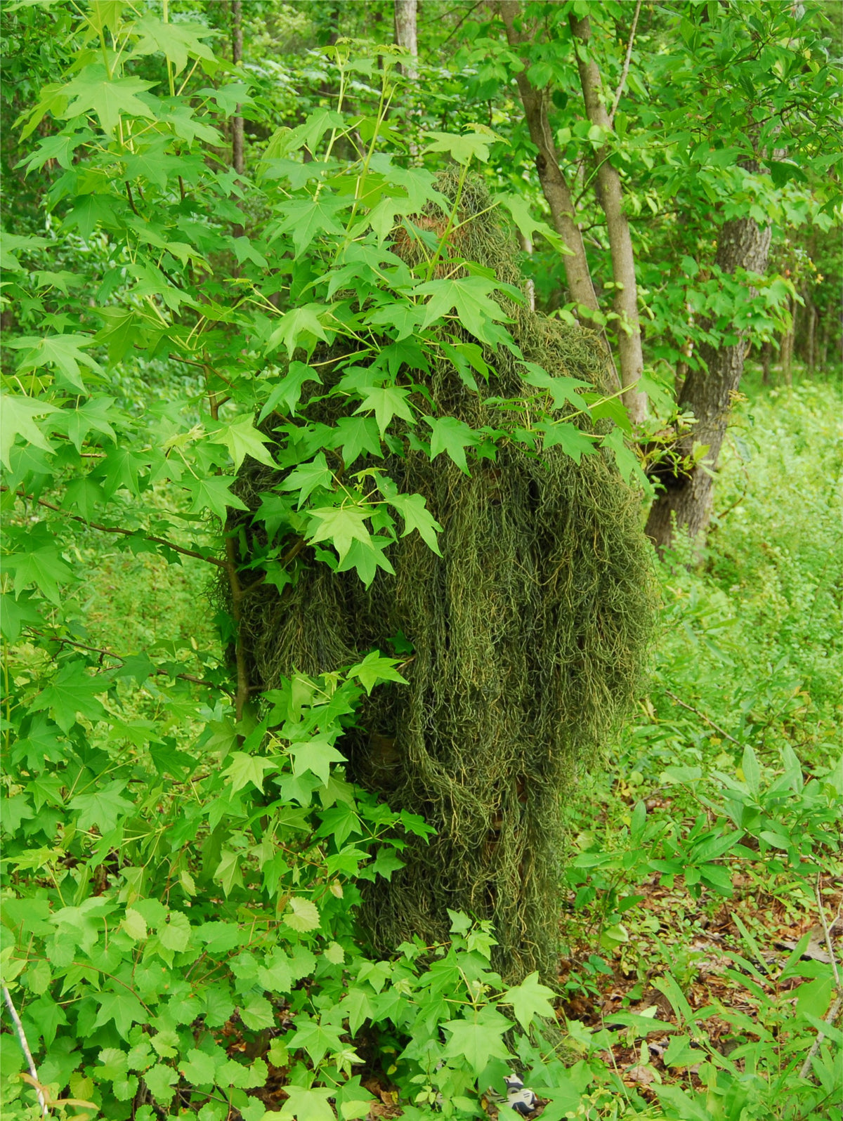 Synthetic BDU ghillie pants in Leafy Green pattern, shown with matching jacket