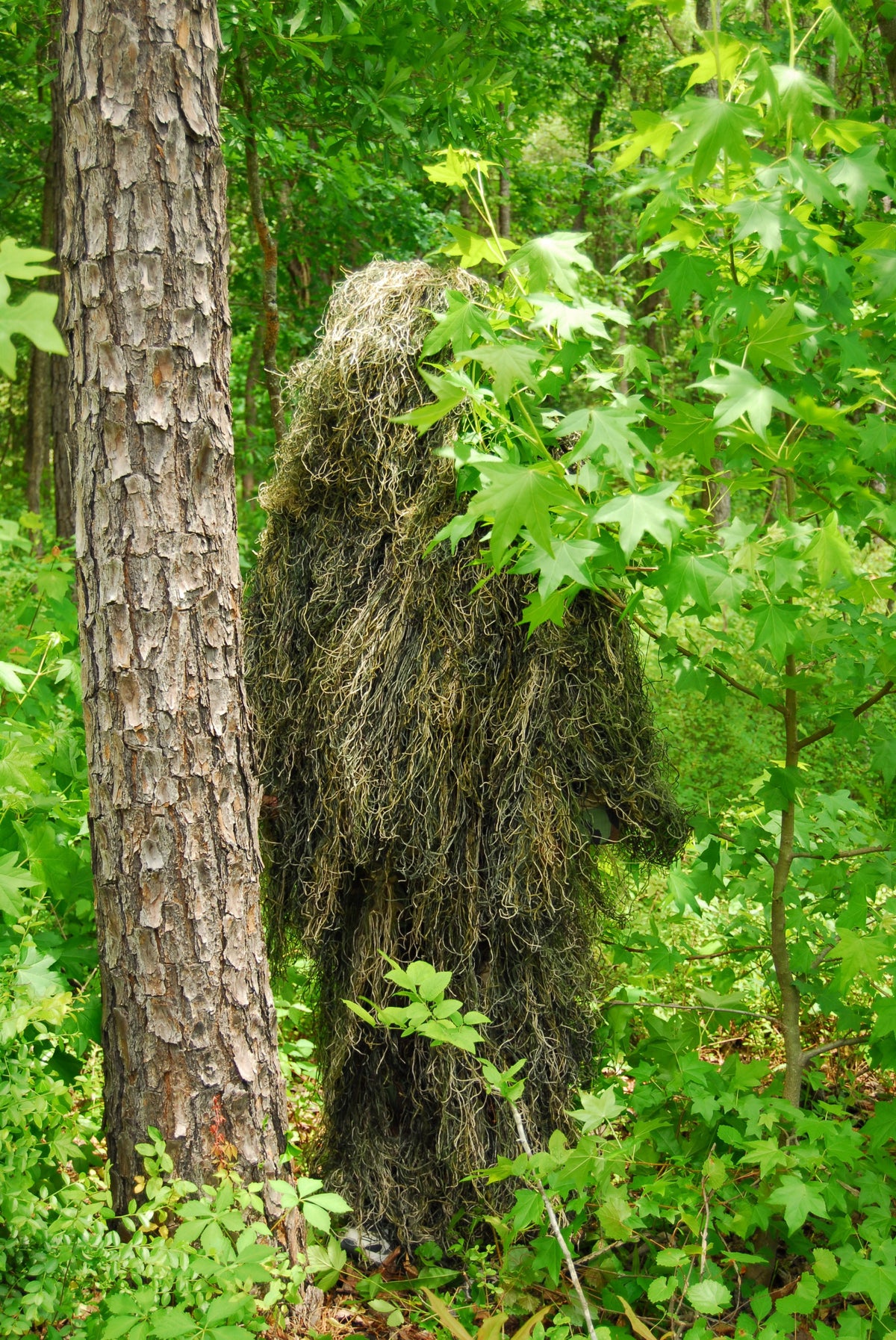 Synthetic BDU ghillie pants in Woodland pattern, shown with matching jacket