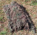 Backpack Cover / Blanket 4' x 6' – GhillieSuits.com (photo 3 of 3)