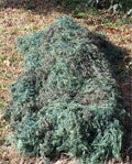 Ultra light Ghillie Blanket 5' x 9' – GhillieSuits.com (photo 2 of 2)